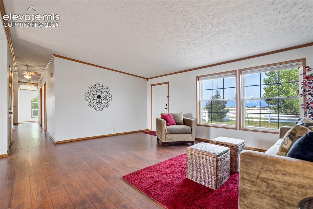 7335 Chelsey Way Peyton CO 80831
