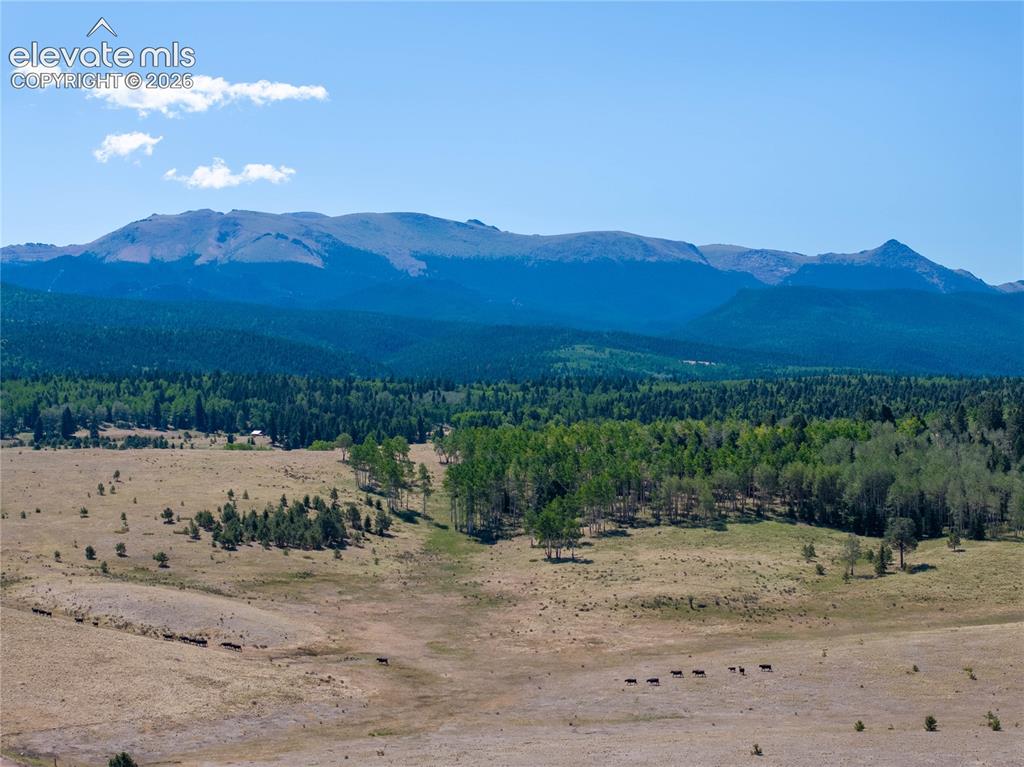 1014 Elfin Glen Drive Divide CO 80814