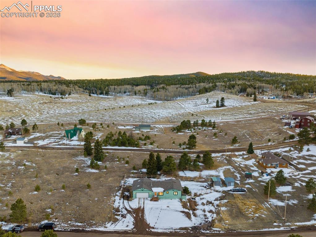 1014 Elfin Glen Drive Divide CO 80814