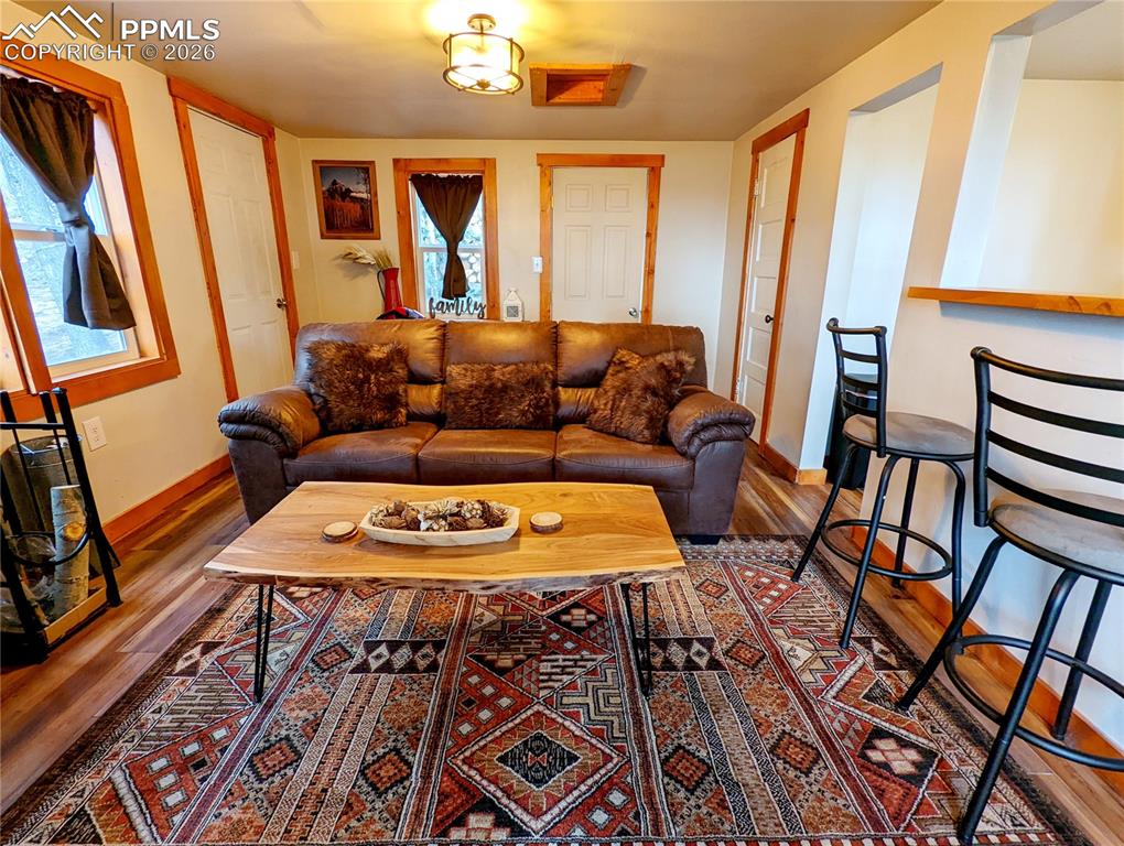 40 Flathead Lane Woodland Park CO 80863
