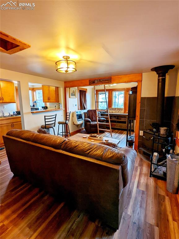 40 Flathead Lane Woodland Park CO 80863