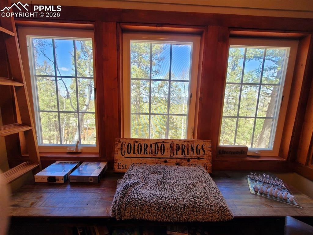 40 Flathead Lane Woodland Park CO 80863