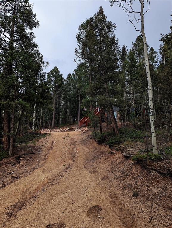 40 Flathead Lane Woodland Park CO 80863