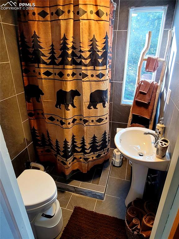 40 Flathead Lane Woodland Park CO 80863