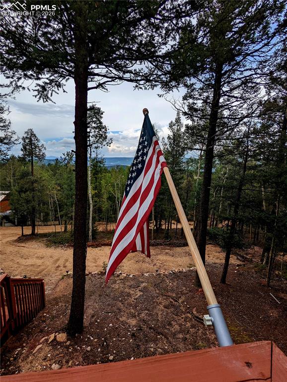 40 Flathead Lane Woodland Park CO 80863