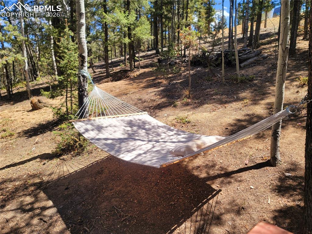 40 Flathead Lane Woodland Park CO 80863