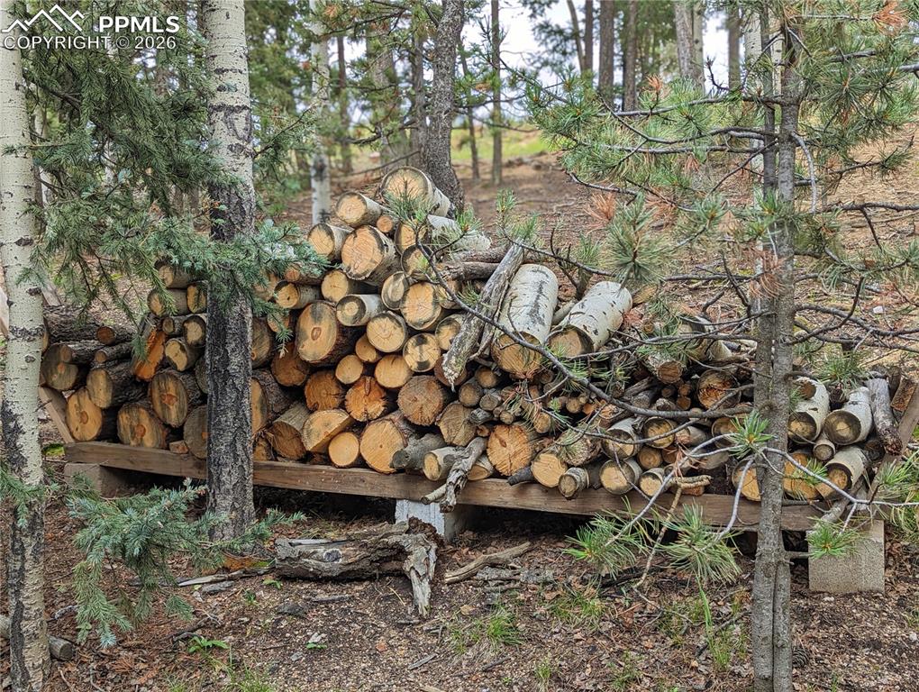 40 Flathead Lane Woodland Park CO 80863