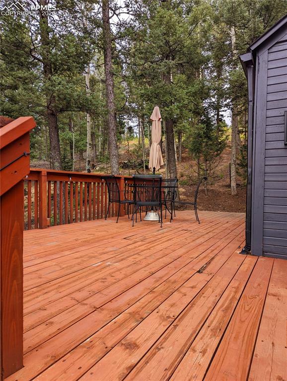 40 Flathead Lane Woodland Park CO 80863