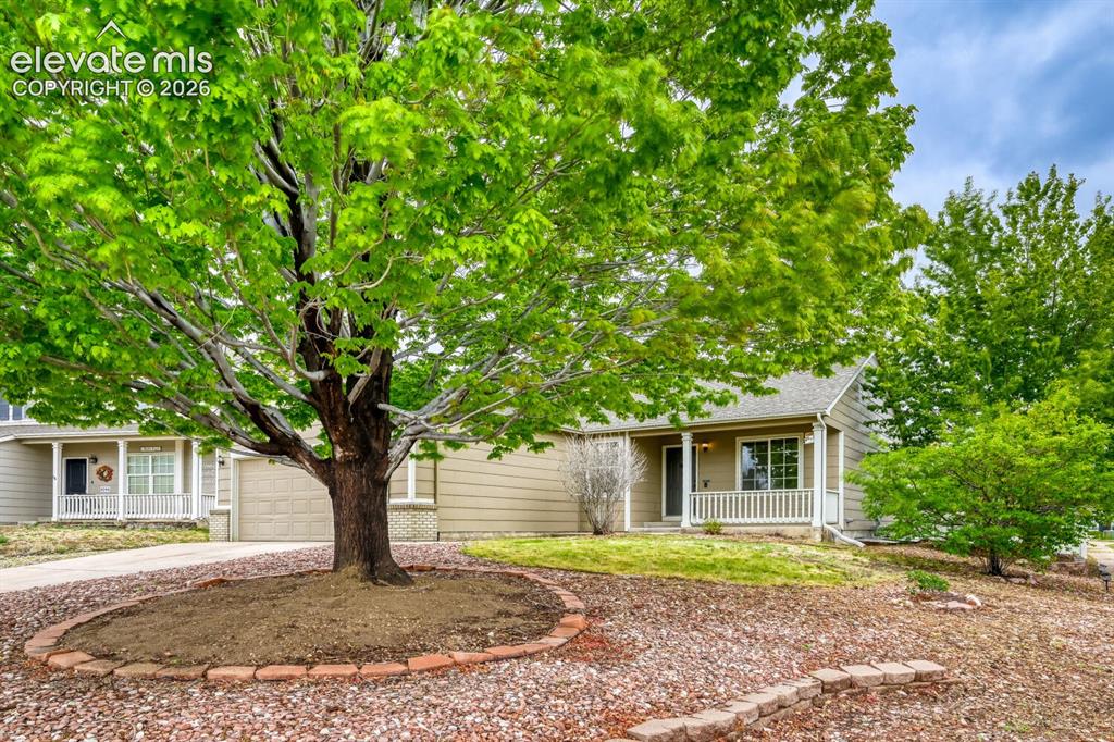6048 Whetstone Drive Colorado Springs CO 80923