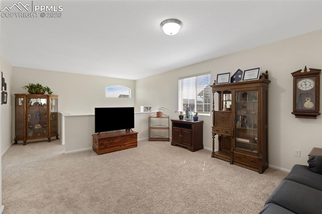 6588 Cottonwood Tree Drive Colorado Springs CO 80927