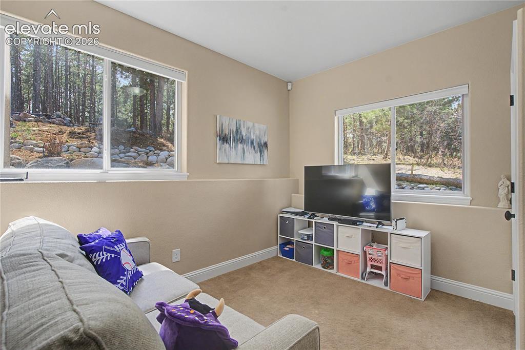 1245 Old Antlers Way Monument CO 80132
