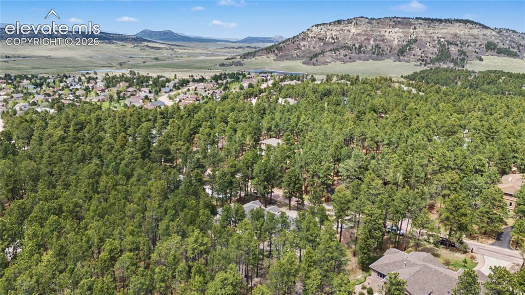 1245 Old Antlers Way Monument CO 80132