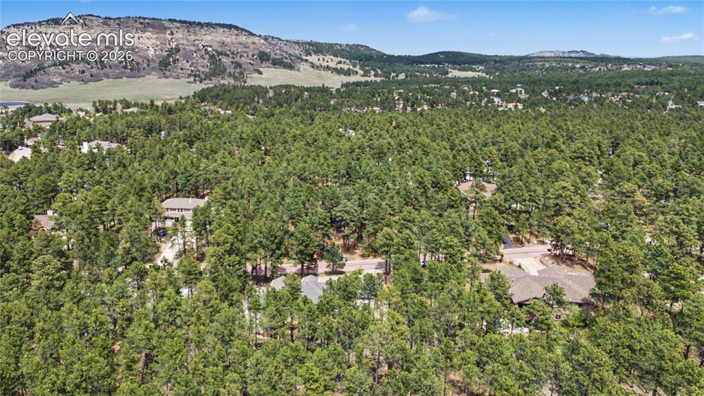 1245 Old Antlers Way Monument CO 80132