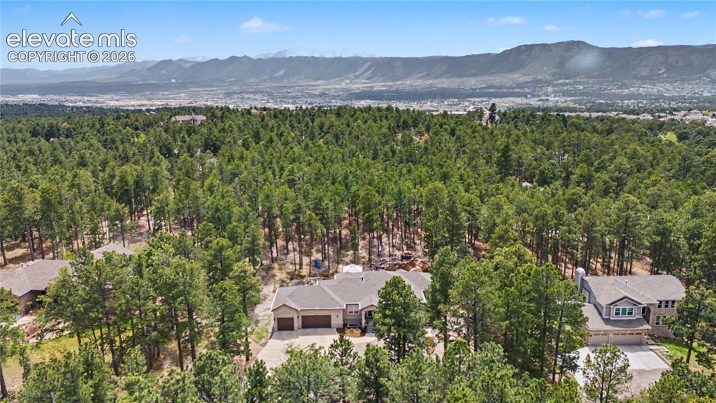 1245 Old Antlers Way Monument CO 80132