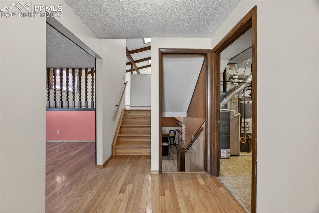5840 Del Paz Drive Colorado Springs CO 80918