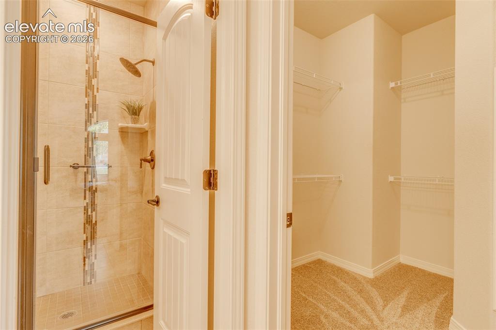 7543 Bandana Way Colorado Springs CO 80923