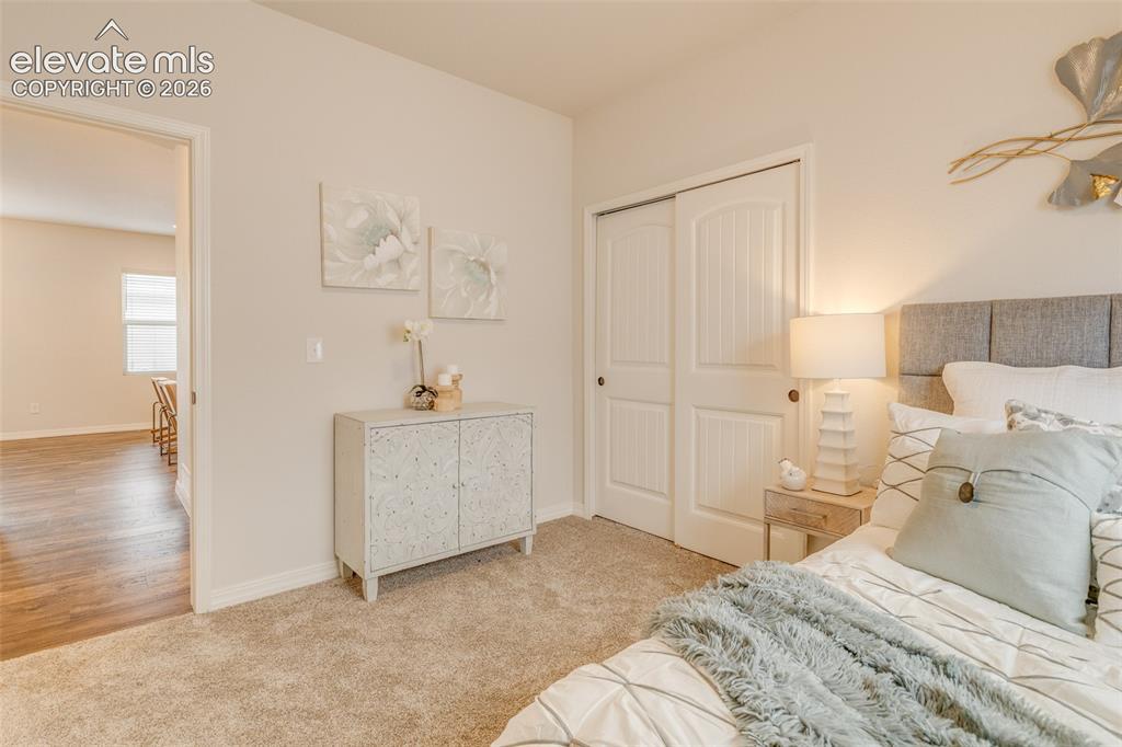 7543 Bandana Way Colorado Springs CO 80923
