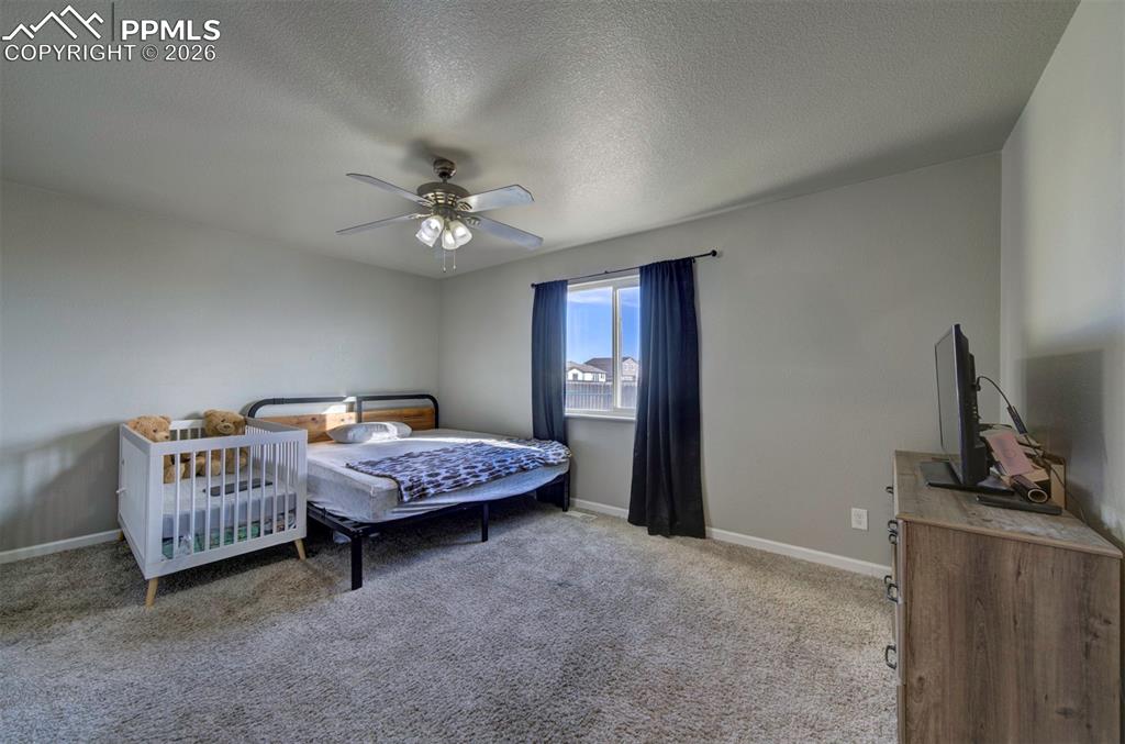 7428 Coral Ridge Drive Colorado Springs CO 80925