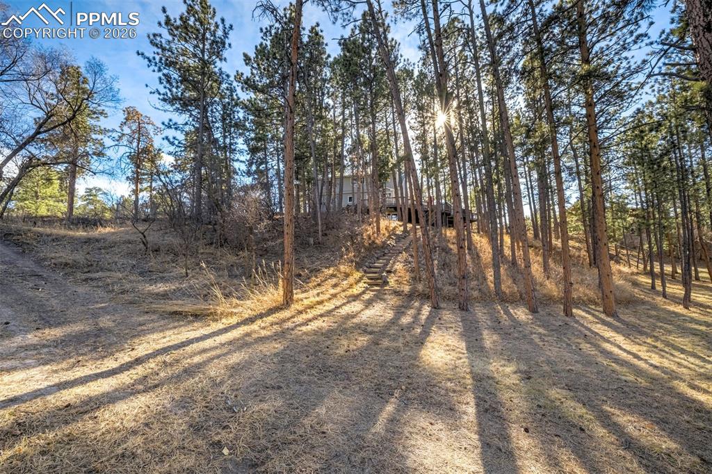 1260 Timber Valley Road Colorado Springs CO 80919