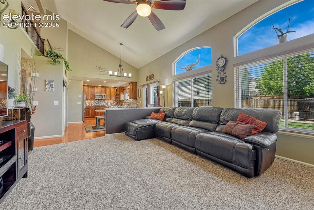 16673 Elk Valley Trail Monument CO 80132