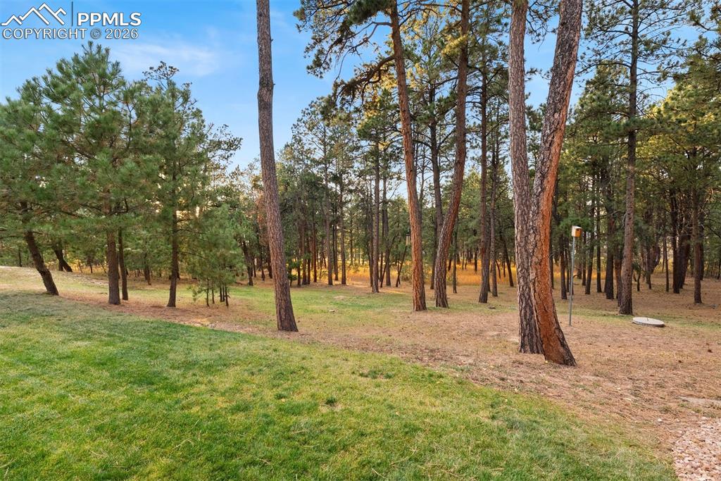 17507 Colonial Park Drive Monument CO 80132