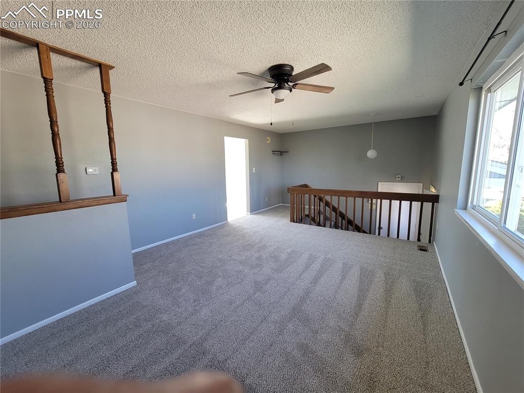 7240 Goldfield Drive Colorado Springs CO 80911