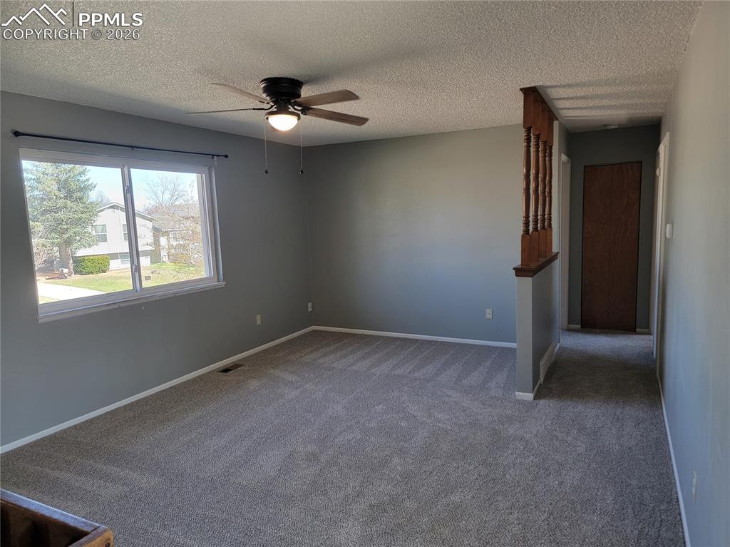 7240 Goldfield Drive Colorado Springs CO 80911