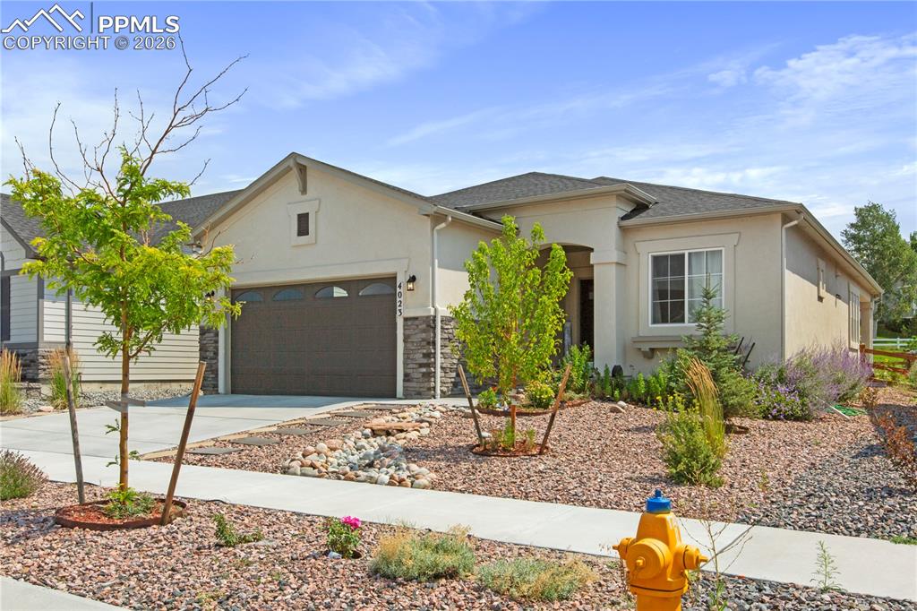 4023 Ivy Hill Drive Colorado Springs CO 80922