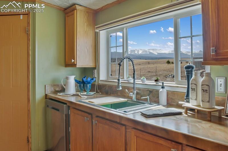 338 Doublet Lane Divide CO 80814