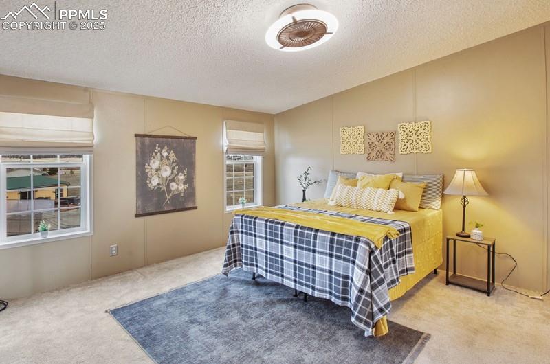 338 Doublet Lane Divide CO 80814