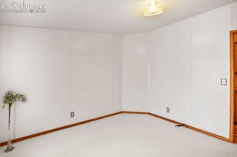 338 Doublet Lane Divide CO 80814