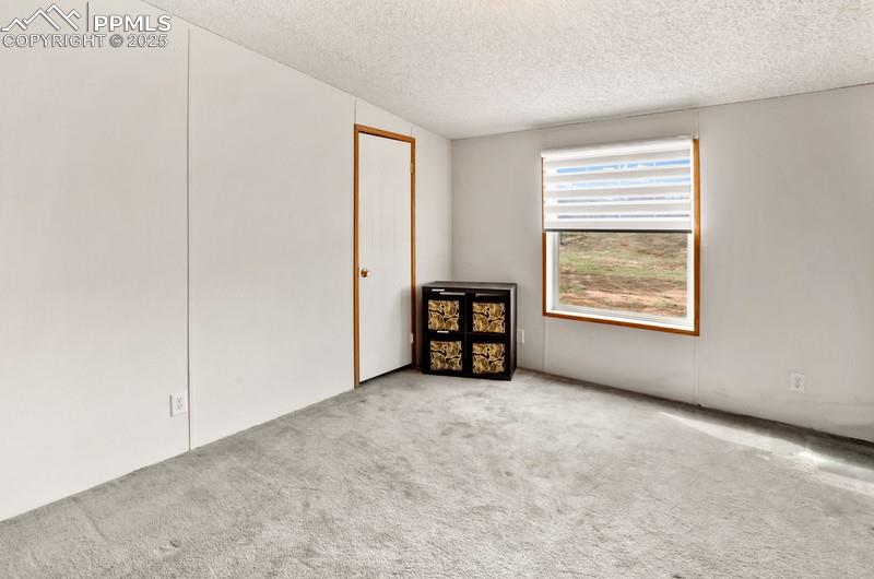 338 Doublet Lane Divide CO 80814