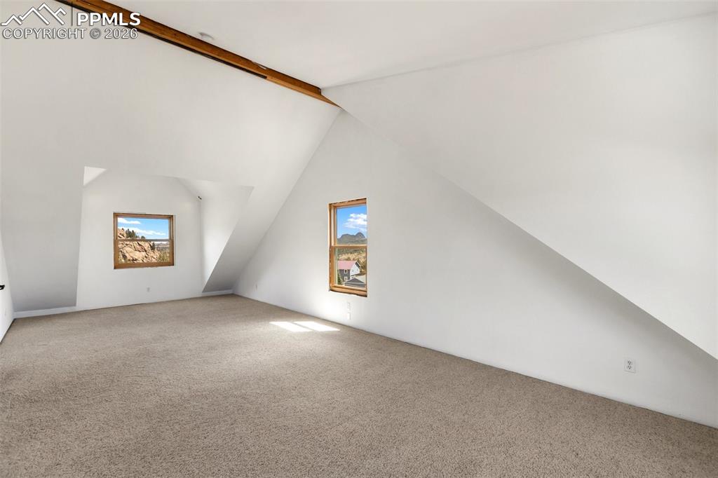 392 Brooks Lane Woodland Park CO 80863