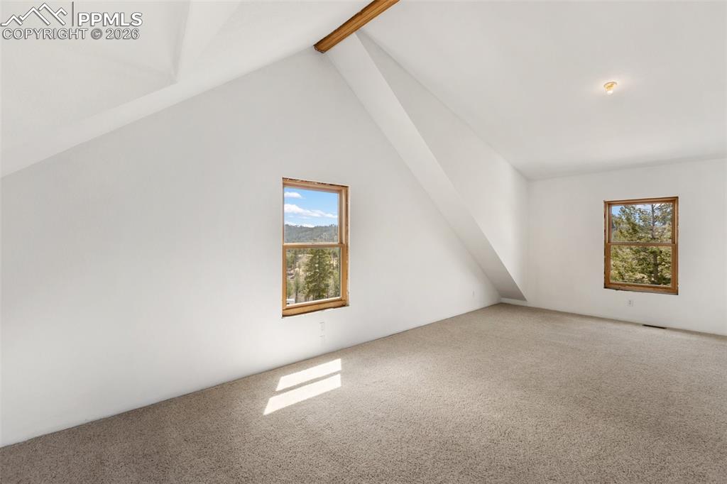 392 Brooks Lane Woodland Park CO 80863