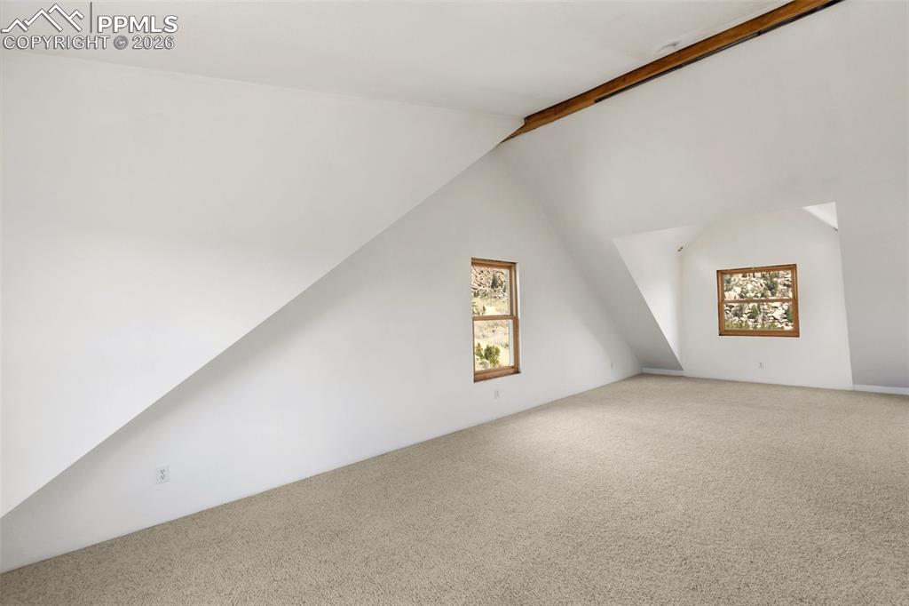 392 Brooks Lane Woodland Park CO 80863