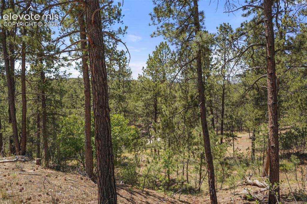 4465 Leprechaun Lane Colorado Springs CO 80908