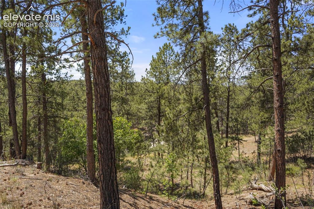 4465 Leprechaun Lane Colorado Springs CO 80908