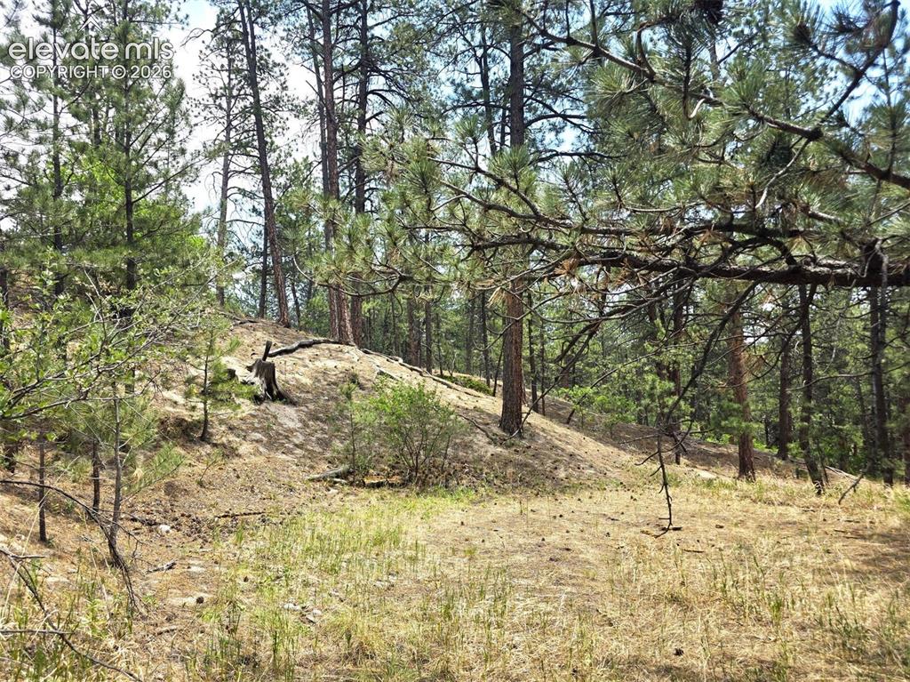 4465 Leprechaun Lane Colorado Springs CO 80908
