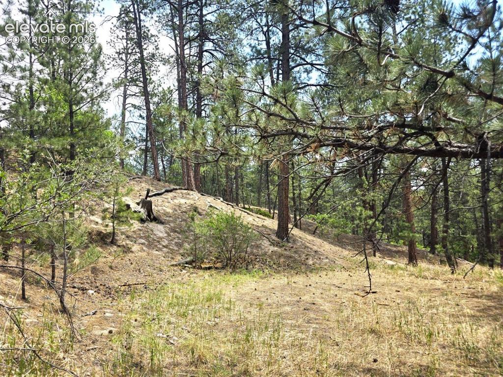 4465 Leprechaun Lane Colorado Springs CO 80908
