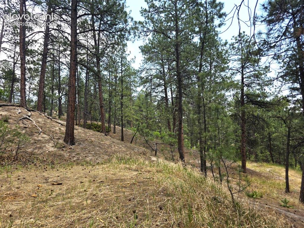 4465 Leprechaun Lane Colorado Springs CO 80908
