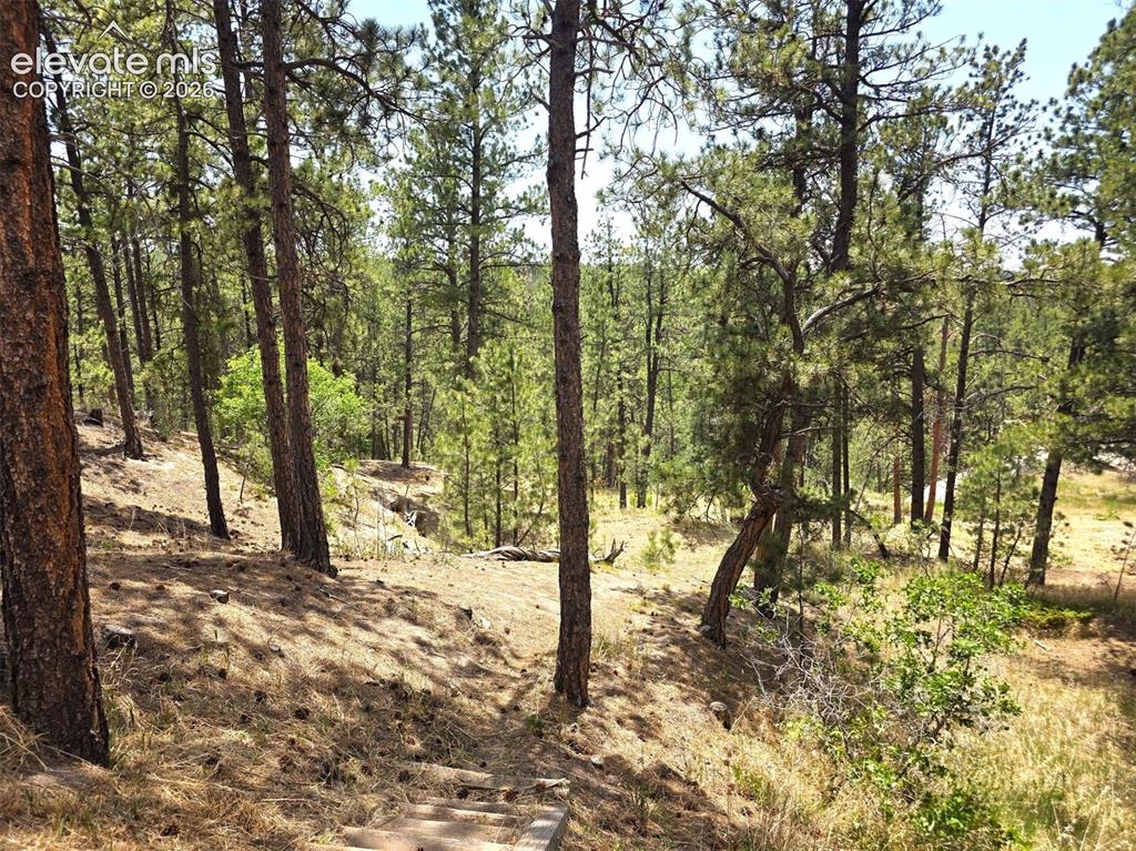 4465 Leprechaun Lane Colorado Springs CO 80908