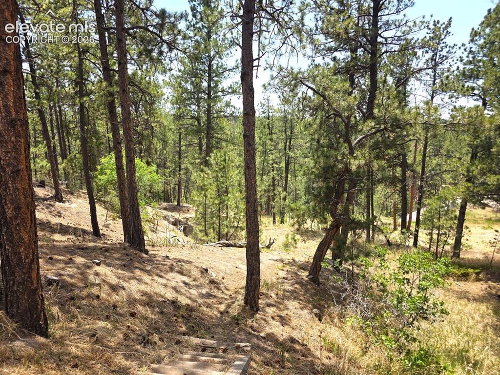 4465 Leprechaun Lane Colorado Springs CO 80908