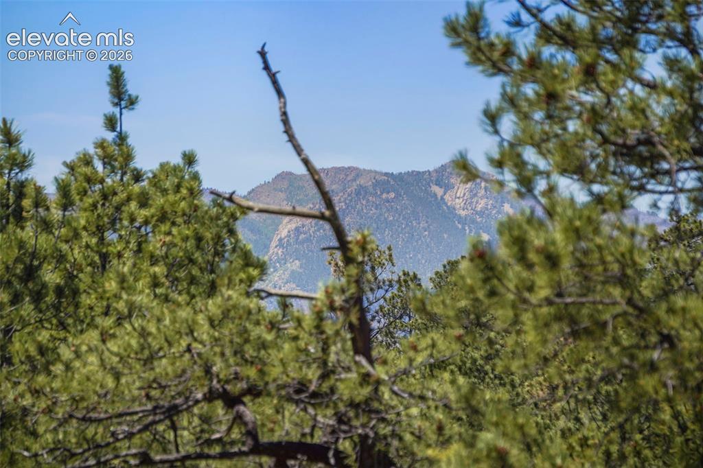 4465 Leprechaun Lane Colorado Springs CO 80908
