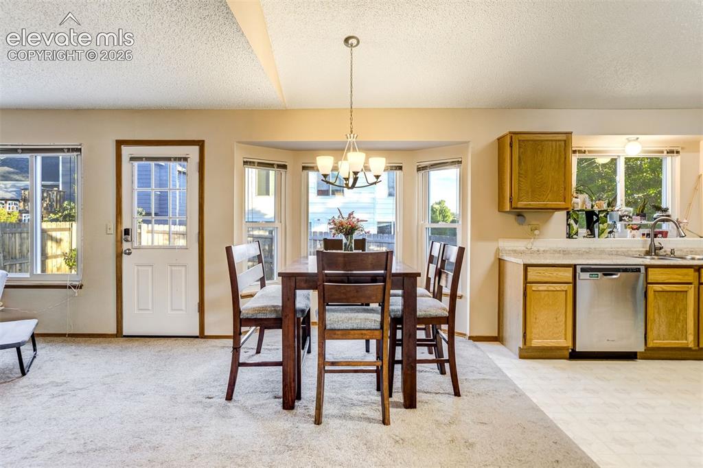 5315 Paradox Drive Colorado Springs CO 80923