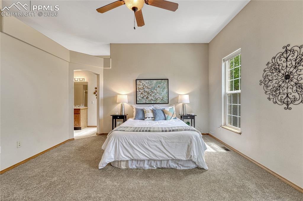 4601 Rowell Point Colorado Springs CO 80923