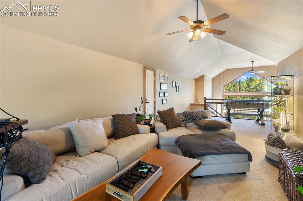 80 Feldspar Road Florissant CO 80816