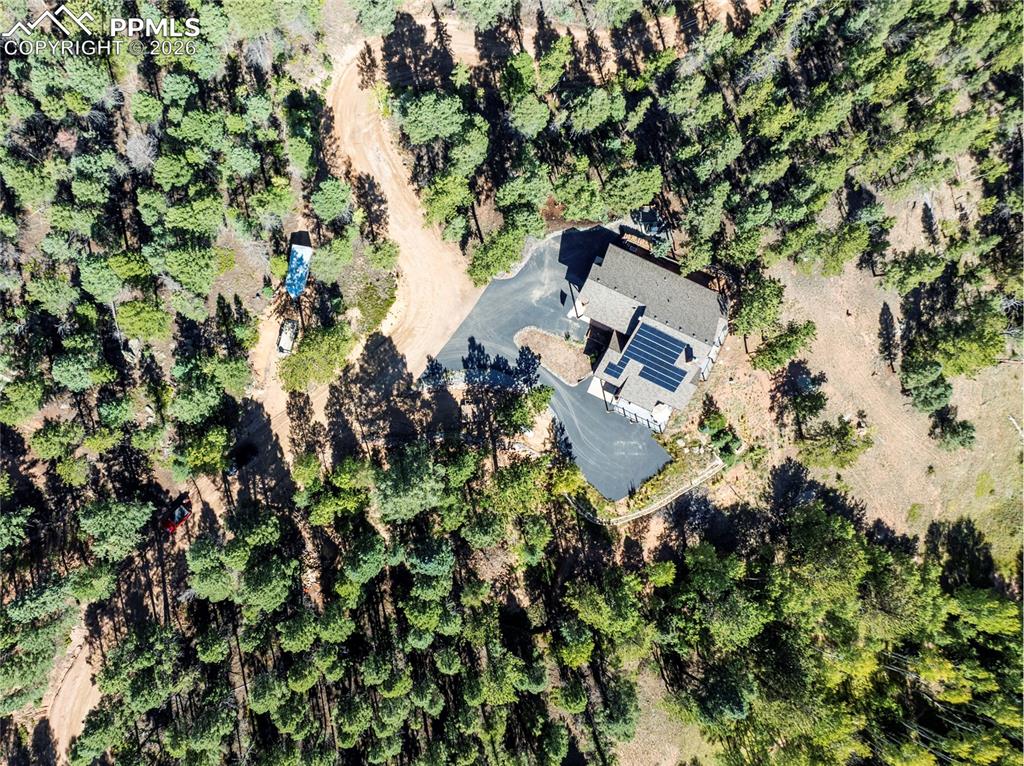 80 Feldspar Road Florissant CO 80816
