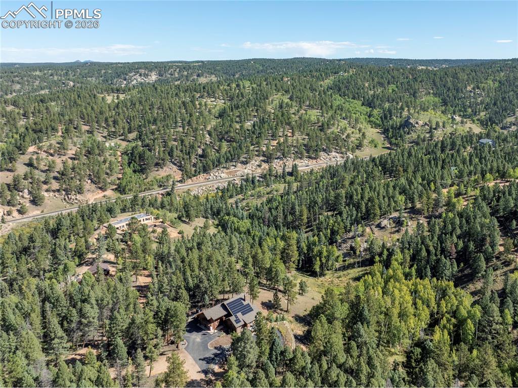 80 Feldspar Road Florissant CO 80816
