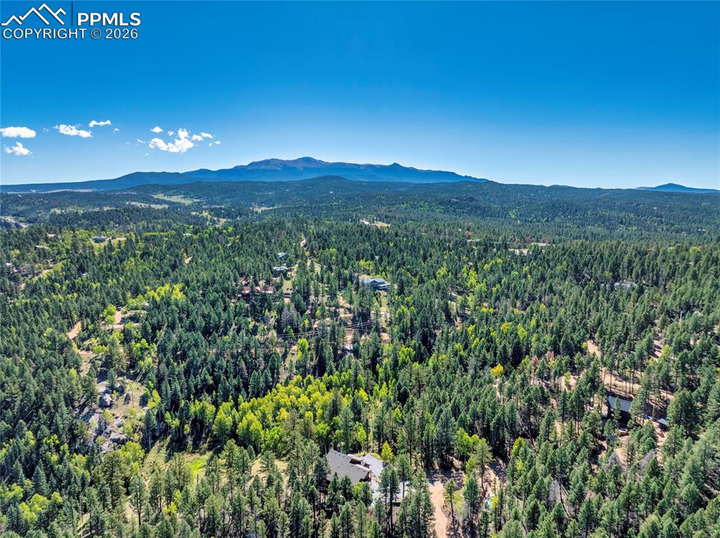 80 Feldspar Road Florissant CO 80816