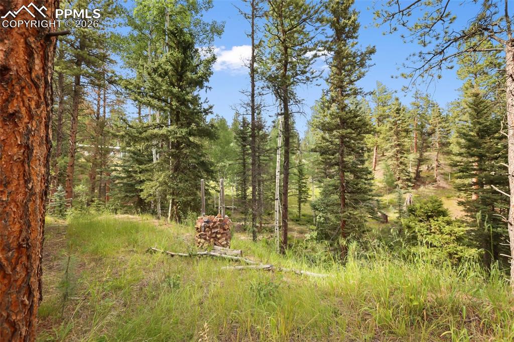 410 Rangeview Road Divide CO 80814